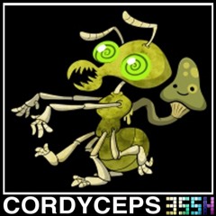 The Golden Record - Cordyceps