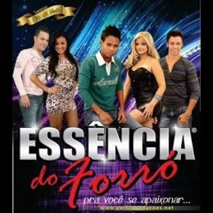 ESSENCIA DO FORRO - PAGUEI PRA VER REMIX DJ XAVERINHO 2015