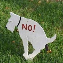 SHUSH - T JILLA Ft. ICyBLZRD