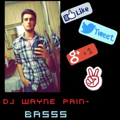 DJ WAYNE PAIN- Basss