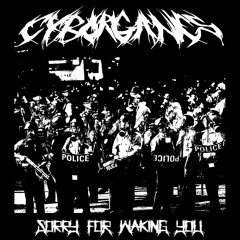 Riot Song ft. Big Lo and Johnny Panic