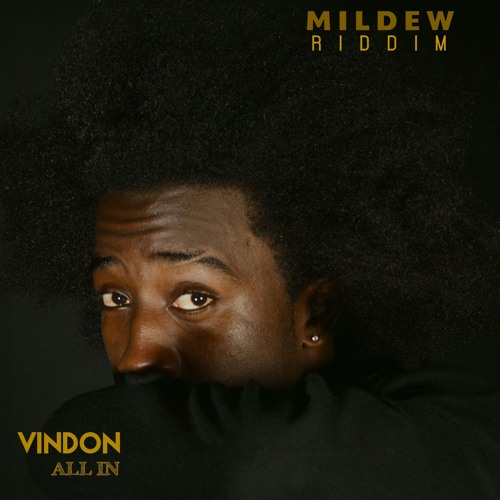 All In [Mildew Riddim]