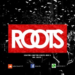 The Best Of Roots - Dj Only