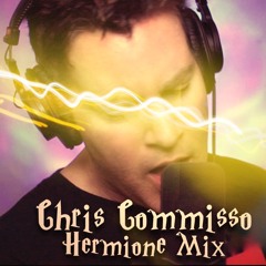 Hermione Mix - Pogo cover / Harry Potter (Chris Commisso)