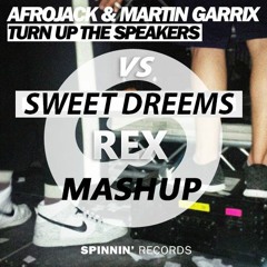 Afrojack & Martin Garrix - Turn Up The Speakers vs Eurythmics - Sweet Dreams (REX Mashup)