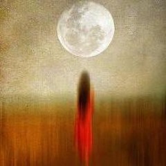 Autumn Equinox ~ TreeSisters Seasonal Donor Update