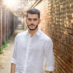Mera Dil - Shehroz Ghouri - Official Audio - Zero Records