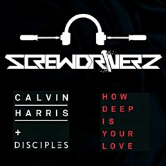 Calvin Harris & Disciples - How Deep Is Your Love (Screwdriverz Remix) ***FREE DOWNLOAD***