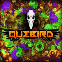 Quebird - Kronix