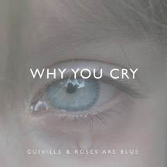 Why You Cry feat. Roses​Are​Blue♥