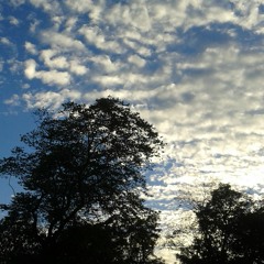 CALSONICS - PANKOSSIANA