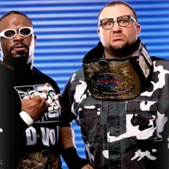 WWE Dudley Boyz - We're Coming Down