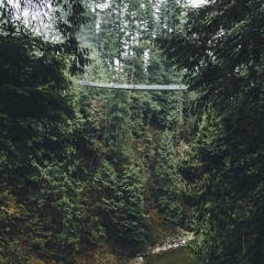 Tez Cadey - Siberia