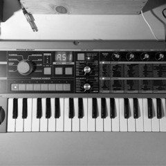rip MicroKORG #2
