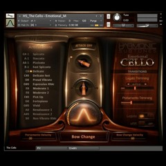 Cello Feature (Best Service Emotional Cello)