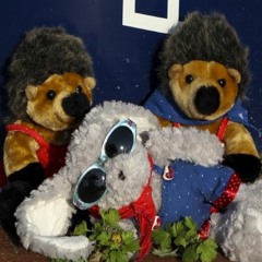 Hakke - Mitch - MusikMukke   26.09.2015