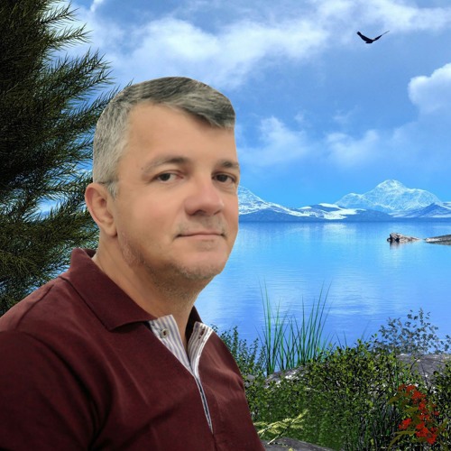 02 Animal Irracional By Raimundo Barbosa soundcloud