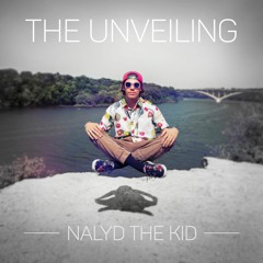 NTKSD (feat. Solo) (Prod. By Nalyd The Kid) Single