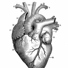 02 The Rotation Method