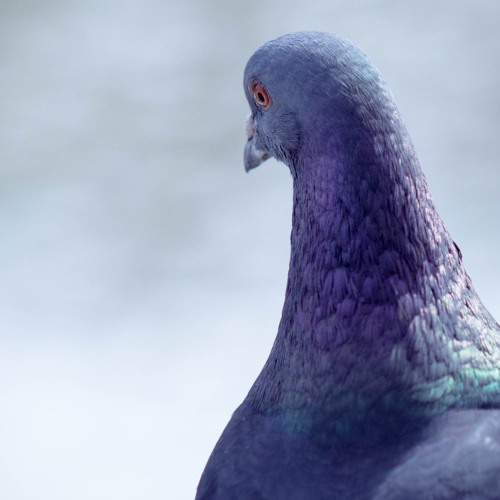 ICANTTHINKOFATRACKNAME