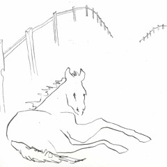 Walking After Midnight