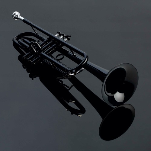 Black Trumpet