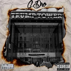 FEEDING THE STEREOTYPE (TRUMP DISS)