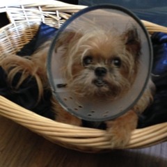 "This Train", "Where Did Our Love Go?", and "Nobody Knows You When You're Down and Out"