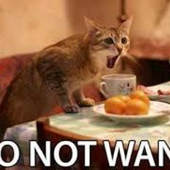 La Breezy ft LilZayaDamu- Wont Nun