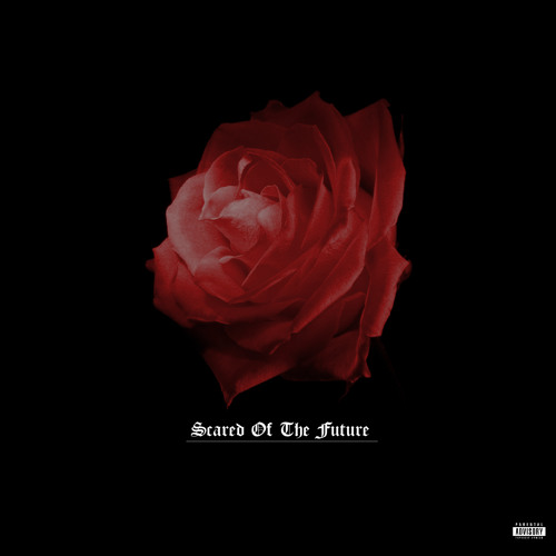 Scared Of The Future