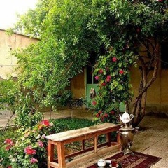 امیر کریمی- نازنین جای تو خالی