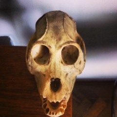 Como Adentro Es Afuera - TaytaSep (Produced by La Placa Records)