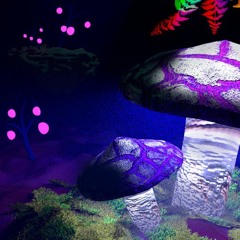 Ambient, Psychill, Downtempo, Psytrance