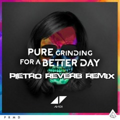 Avicii - Pure Griding (Pietro Reverb Remix)