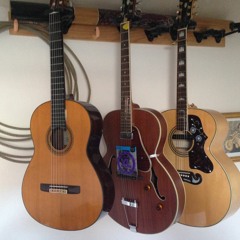 Ben & Steve Somers - "The Wabash Blues"