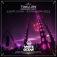 Timujin - White Ocean - Burning Man 2015  (Night Set)