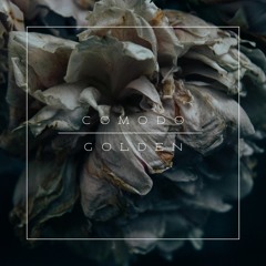 Trans-Alegheny Asylum