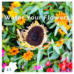 Water Your Flowers -Chris Toro