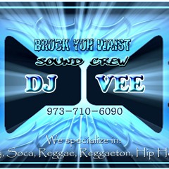 Anil Bheem at His Best-(((DJ. VEE)))- BYWSC