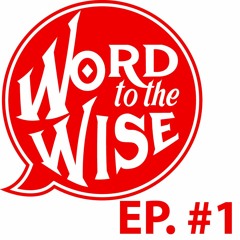 Word to the Wise Ep1: How to meet people & I'm in love with my friend