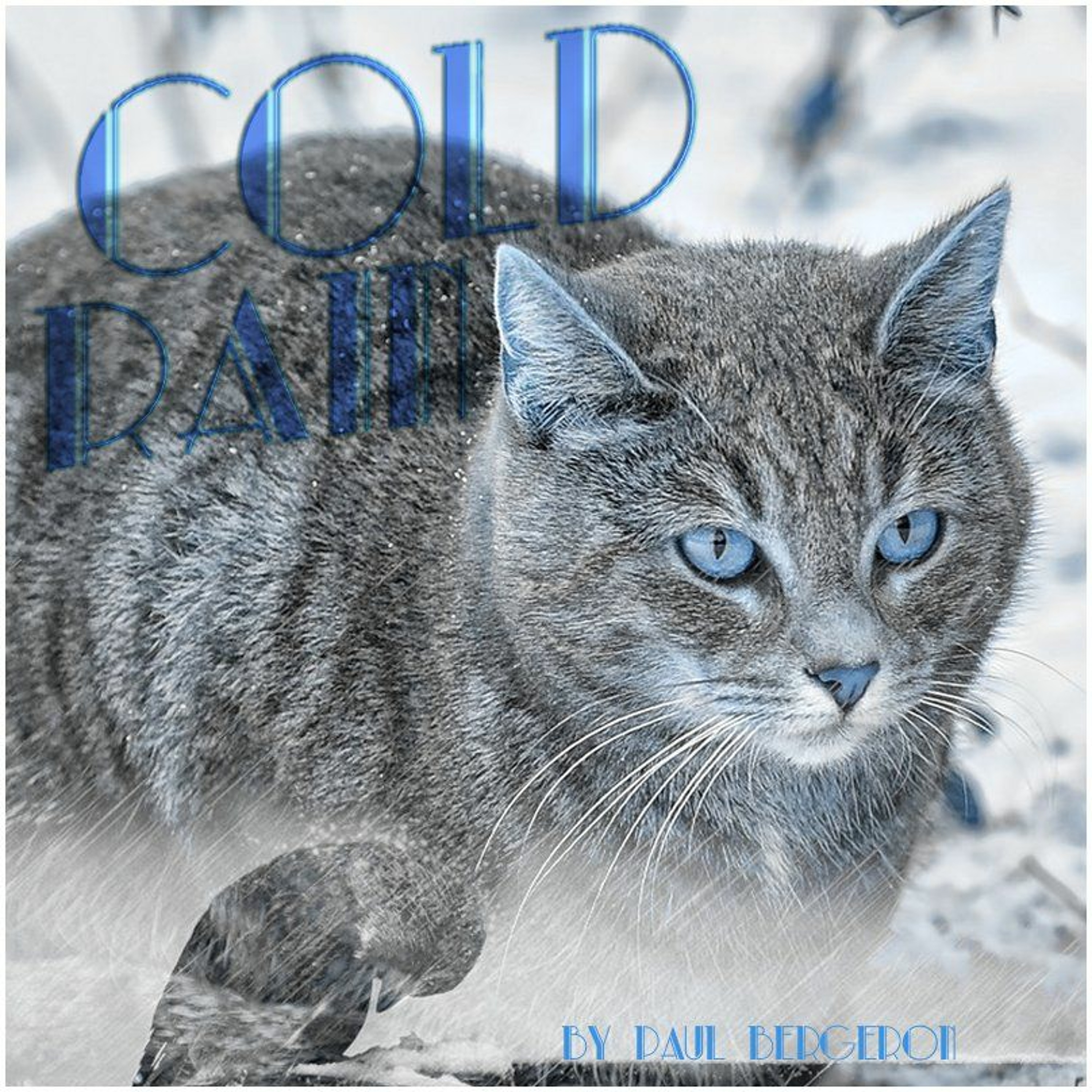Cold Rain - Easy Listening New Age Instrumental - Free DL episode artwork