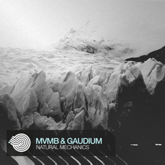 MVMB & Gaudium - Natural Mechanics (Original Mix)