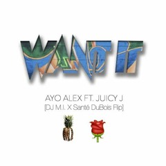 Want It (Ft. Juicy J) (@DJMI973 & @SanteDuBois Flip)