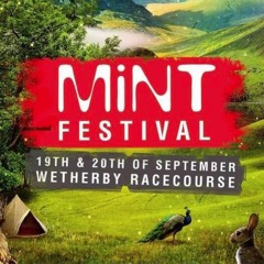 LIVE @ MINT Festival 2015 - GOODGREEF & Digital Society Arena 19.09.15