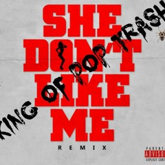 KING OF POP TRASH X SHE DONT LIKE ME REMIX