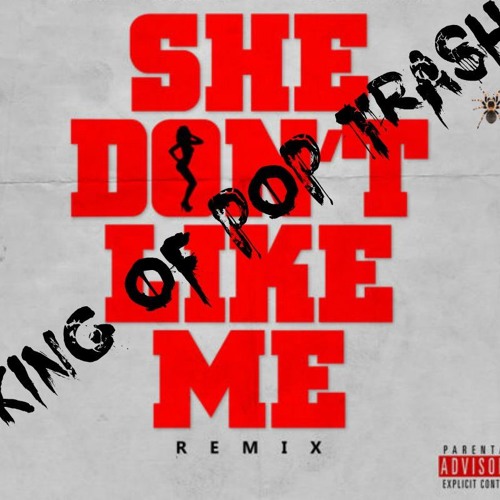 KING OF POP TRASH X SHE DONT LIKE ME REMIX