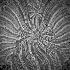 White Rabbit (Acoustic Jefferson Airplane Cover)