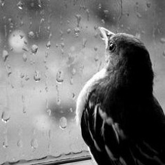 TS (Original mix) - demo