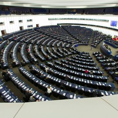 Part 1: European Parliaments