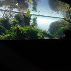 Floating Garden - feat Iago